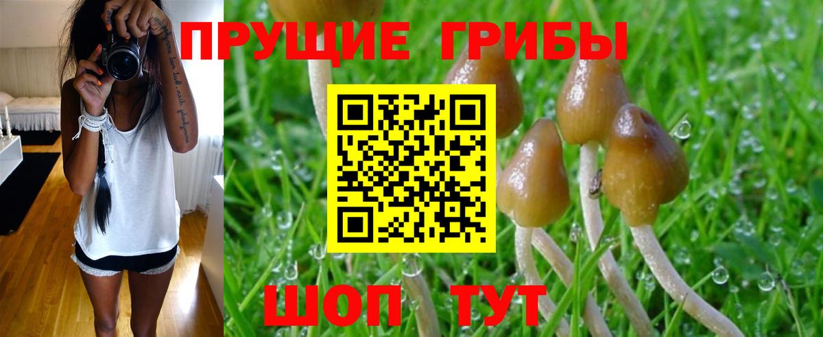 Псилоцибиновые грибы ЛСД Пушкино