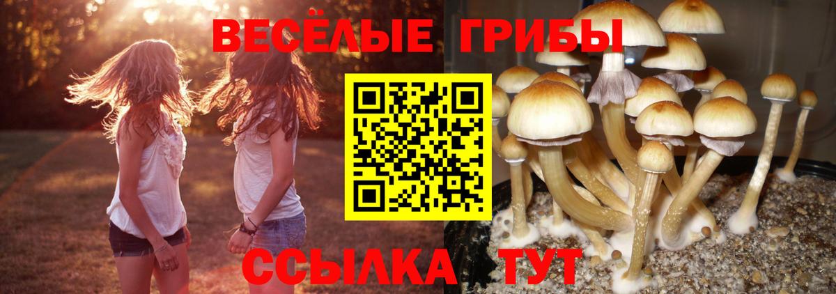 Псилоцибиновые грибы GOLDEN TEACHER  Вход с VPN  дарнет шоп  Пушкино 