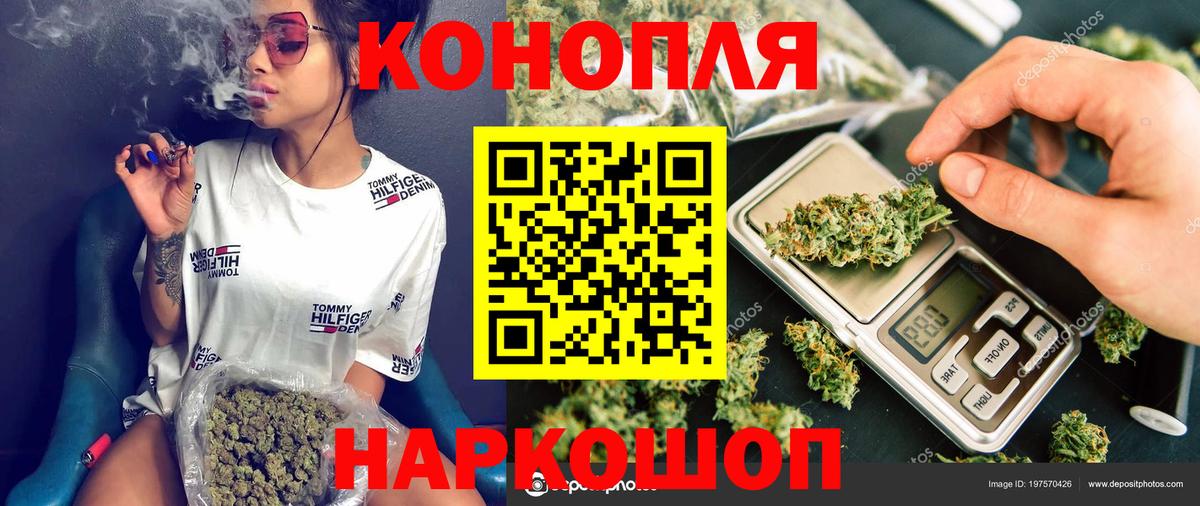 Галлюциногенные грибы Пушкино